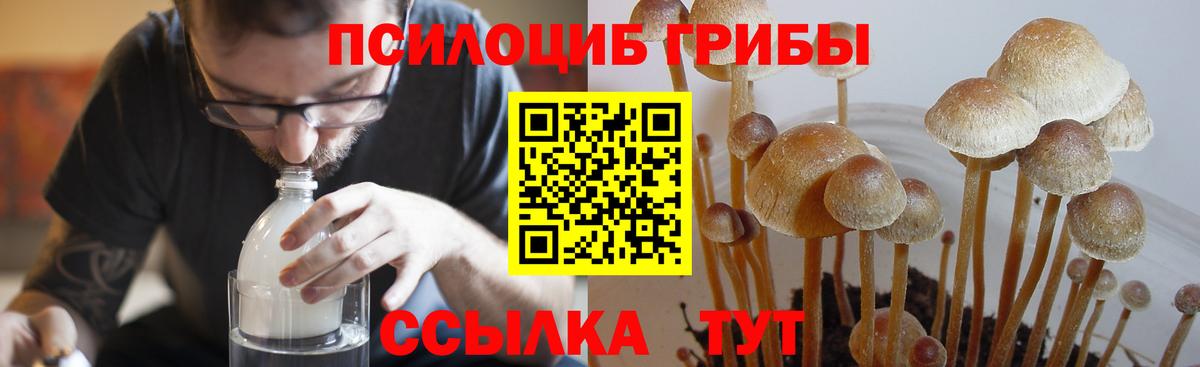Тихвин  Псилоцибиновые грибы MAGIC MUSHROOMS  Псилоцибиновые грибы прущие грибы  Вход с VPN 